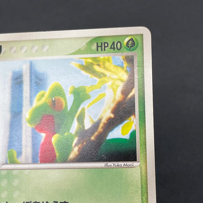 Treecko 037/PCG-P Yokohama Center Opening Pokémon Card