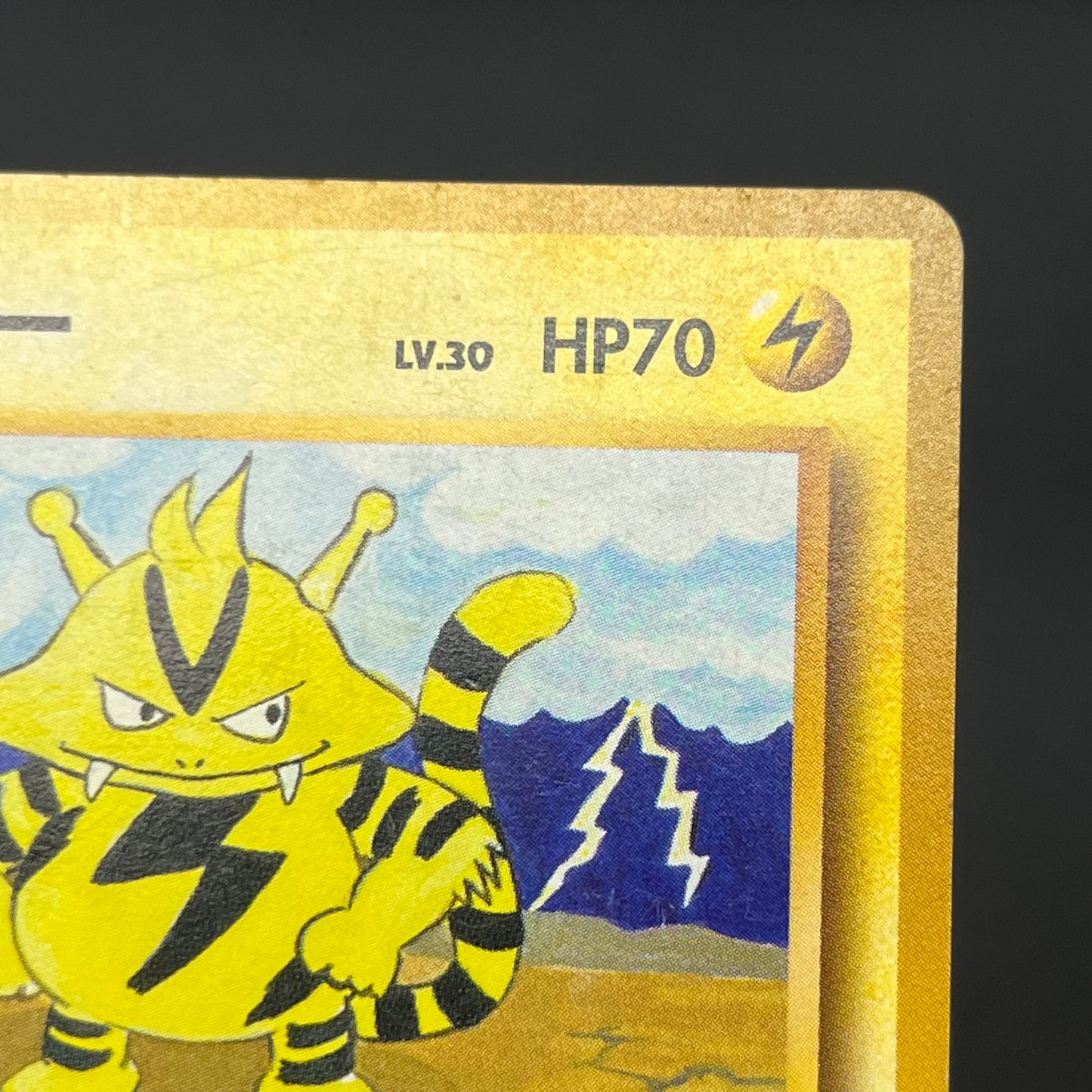 Electabuzz Intro Pack No.125 Bulbasaur Deck Pokémon Card