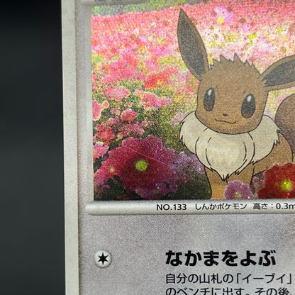 Eevee 063/DP-P Promo Trade Please event Pokemon Card