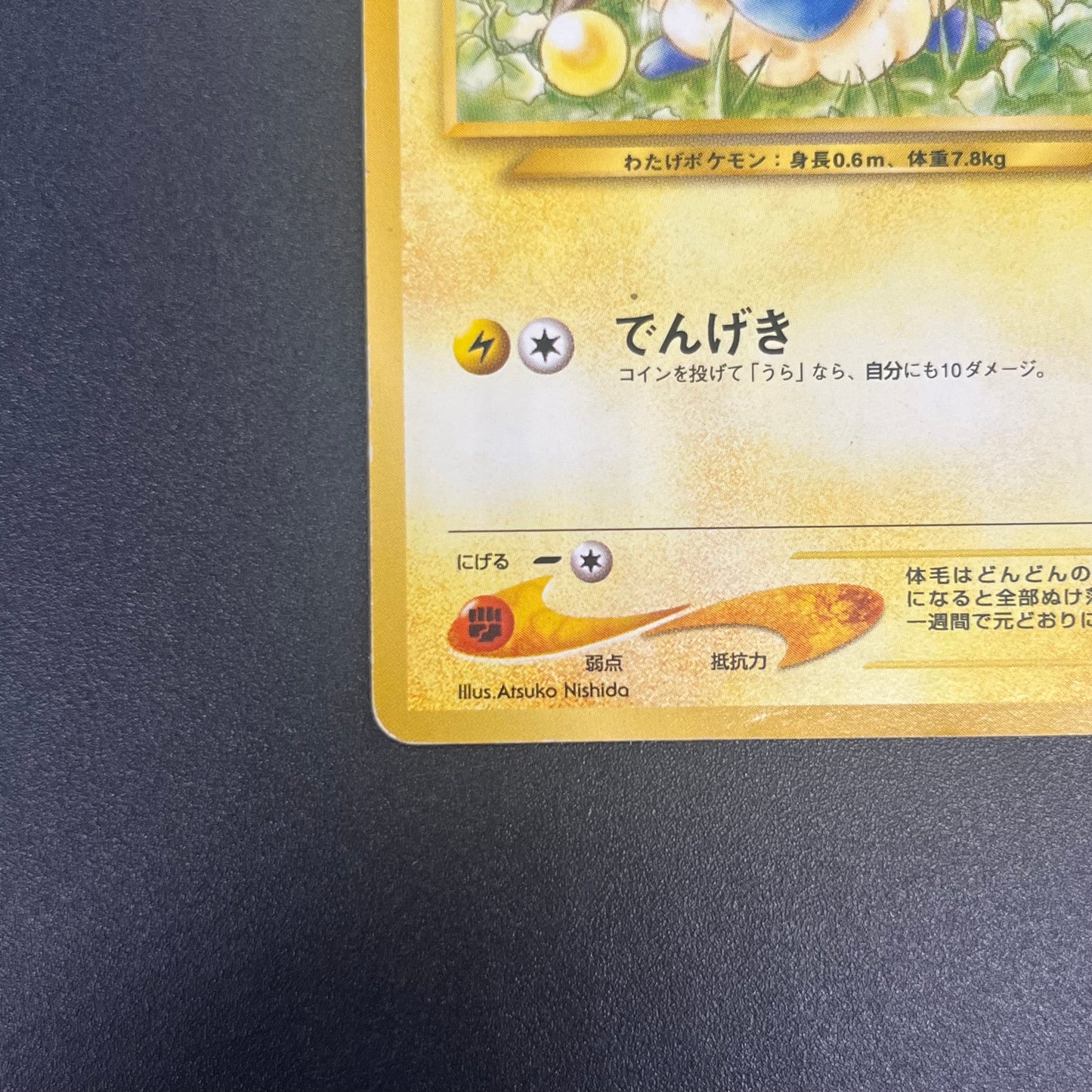 Mareep No. 179 Intro Pack Totodile Deck Pokémon Card