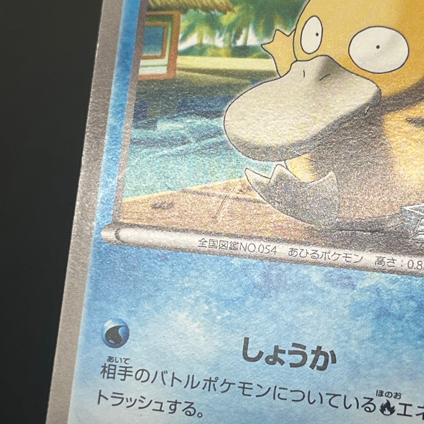 Psyduck 167/BW-P Gym Challenge Promo Japanese Pokémon Card