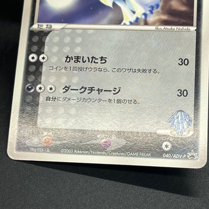Forina's Absol 040/ADV-P Promo Gym Official Lottery Card