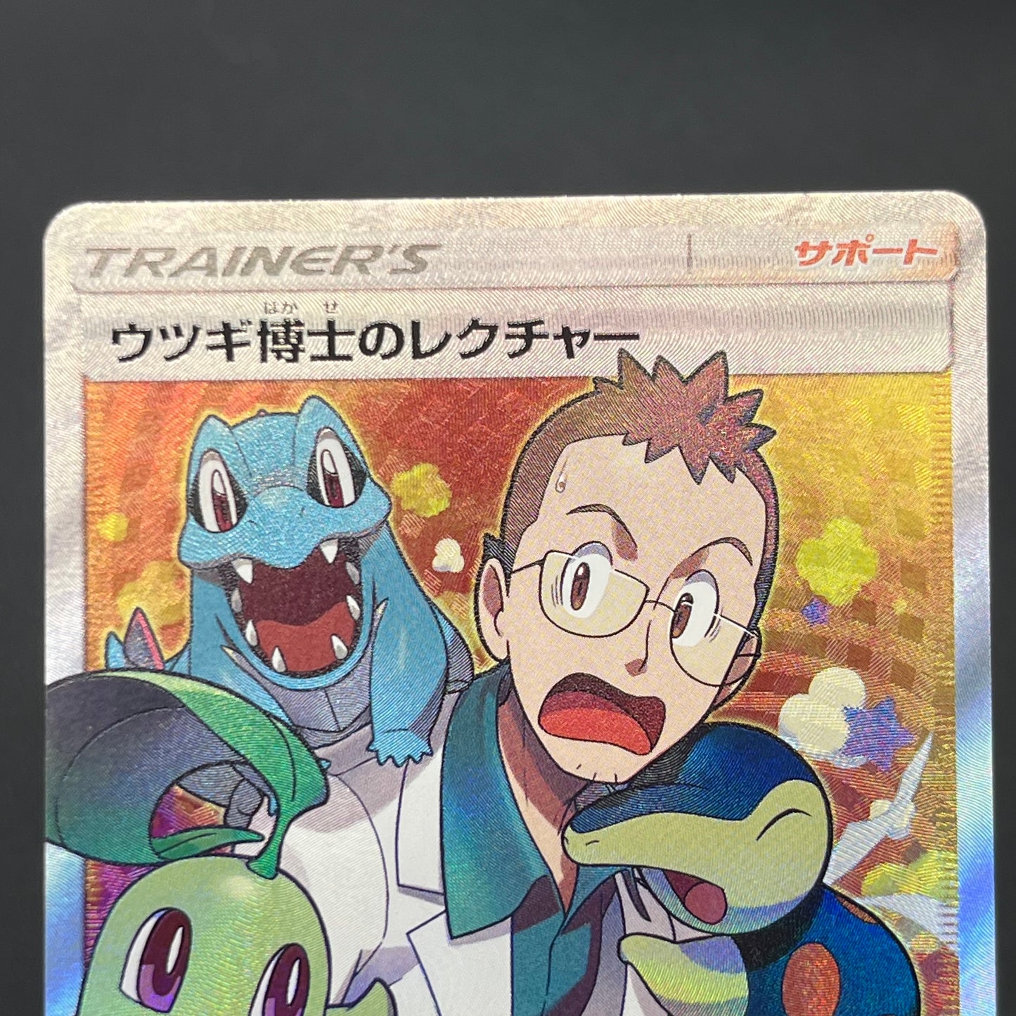 Professor Elm's Lecture 102/095 Lost Thunder Pokémon Card