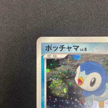 Piplup 003/PPP Promo Earn 2000 EXP Points Pokemon Card