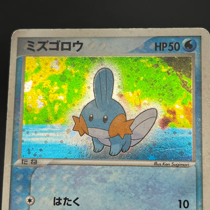 Mudkip 003/019 Mudkip Deck Japanese Pokémon Card