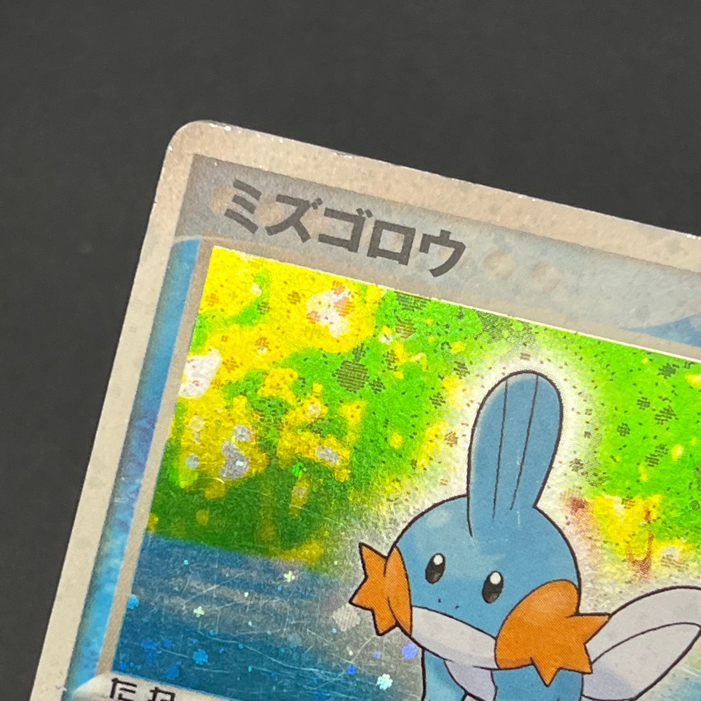 Mudkip 003/019 Mudkip Deck Japanese Pokémon Card