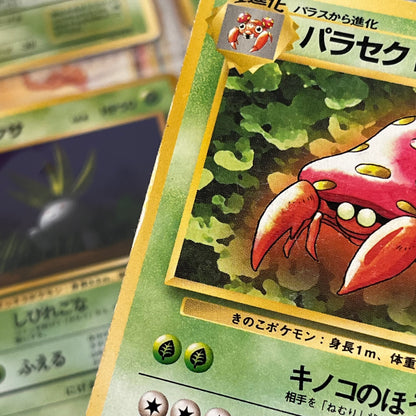 Jungle Normal 31set Complete Japanese Pokémon Card