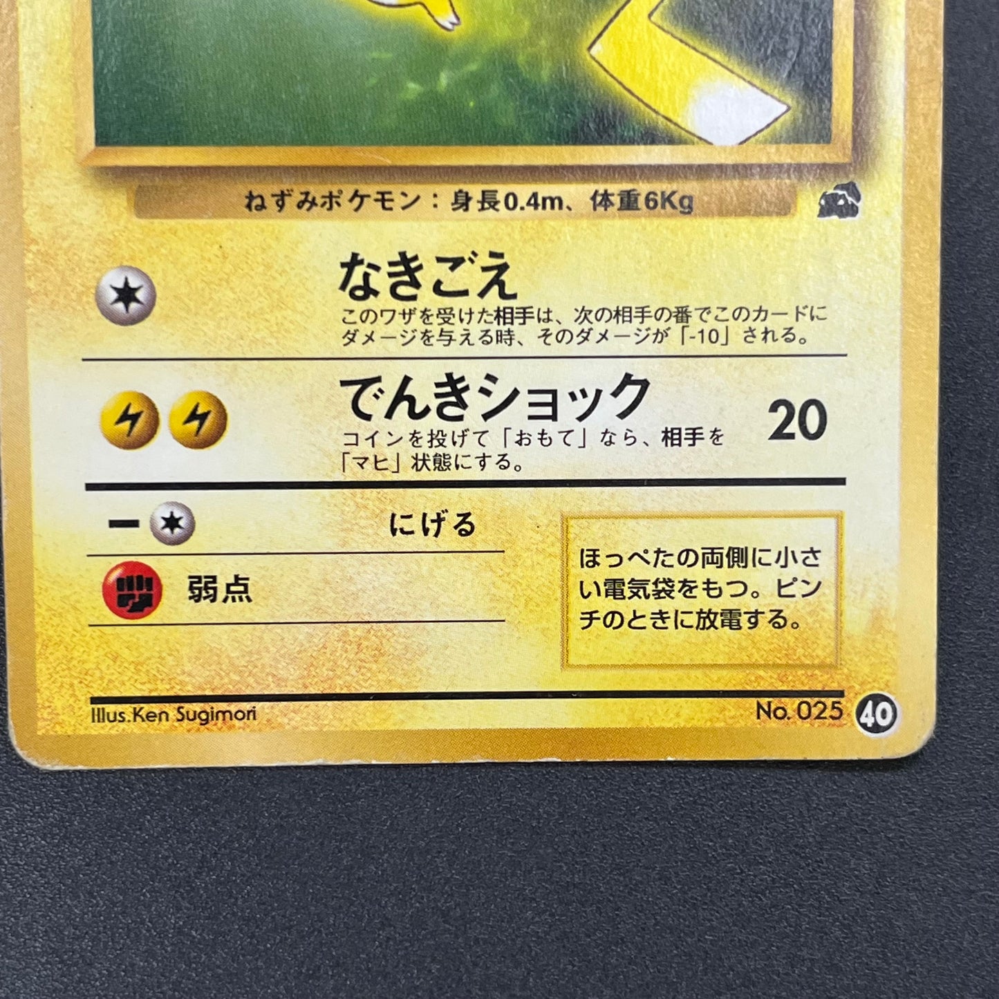Pikachu No. 025 Intro Pack Bulbasaur Deck Pokémon Card