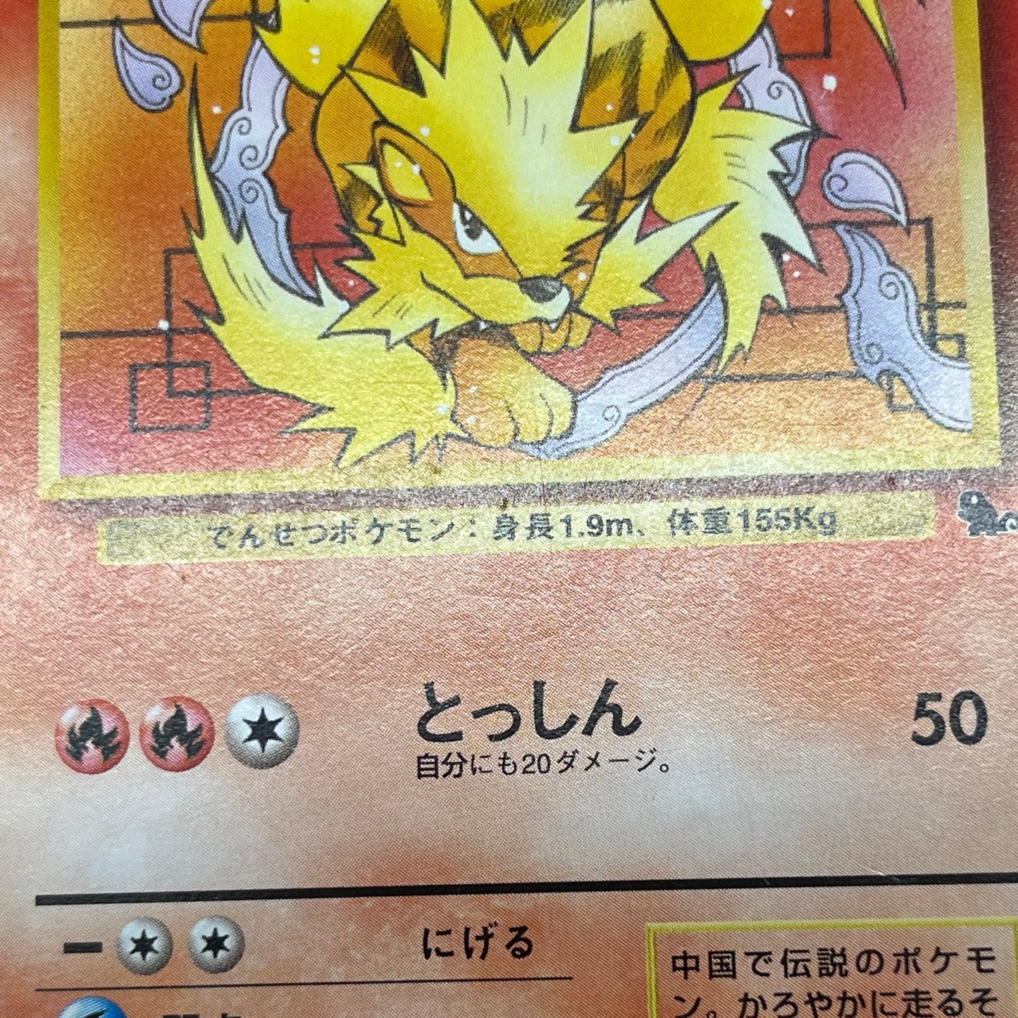 Arcanine No. 059 Intro Pack Squirtle Japanese Pokémon Card