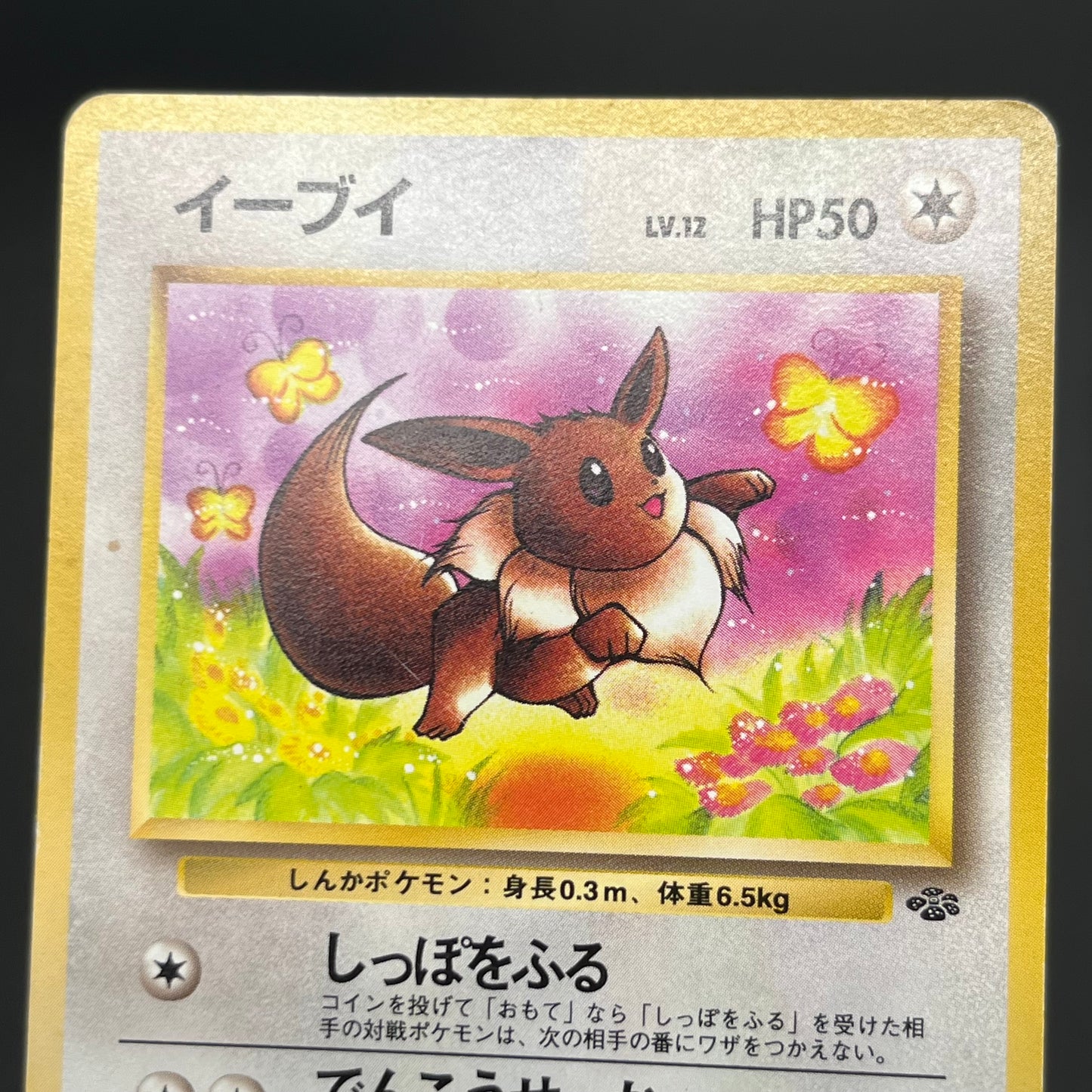 Jolteon Vaporeon Flareon Jungle Holo Old Back Pokémon Card