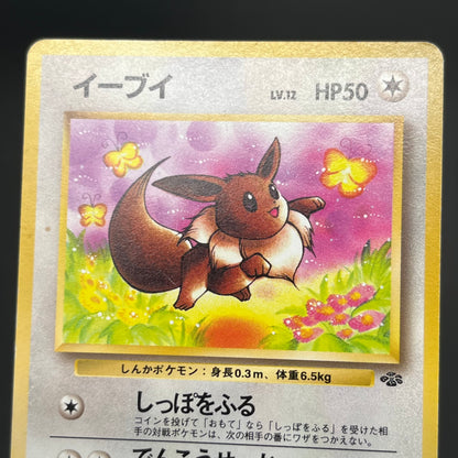 Jolteon Vaporeon Flareon Jungle Holo Old Back Pokémon Card