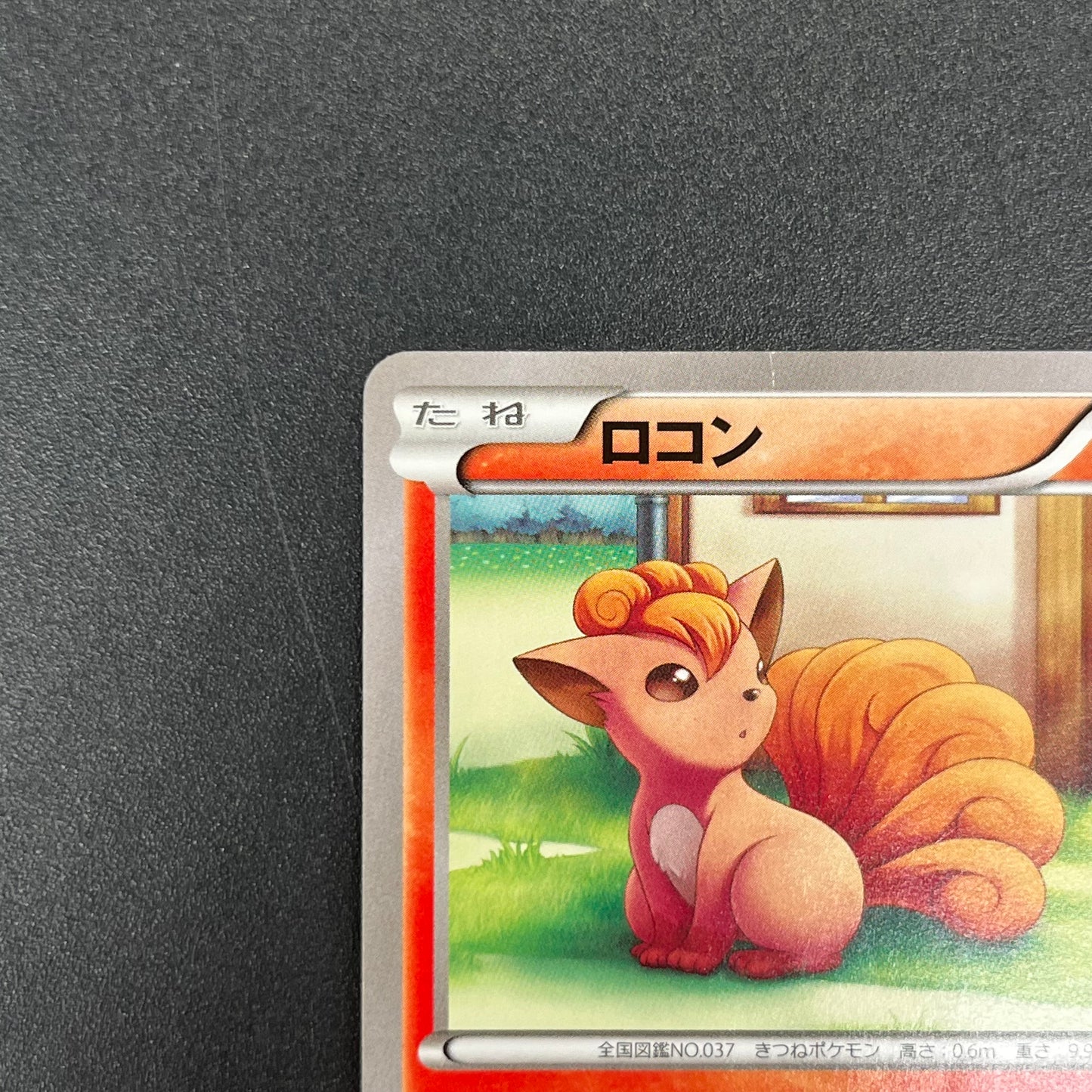 Vulpix 110/XY-P Promo Gym 4th MP Japanese Pokémon Card