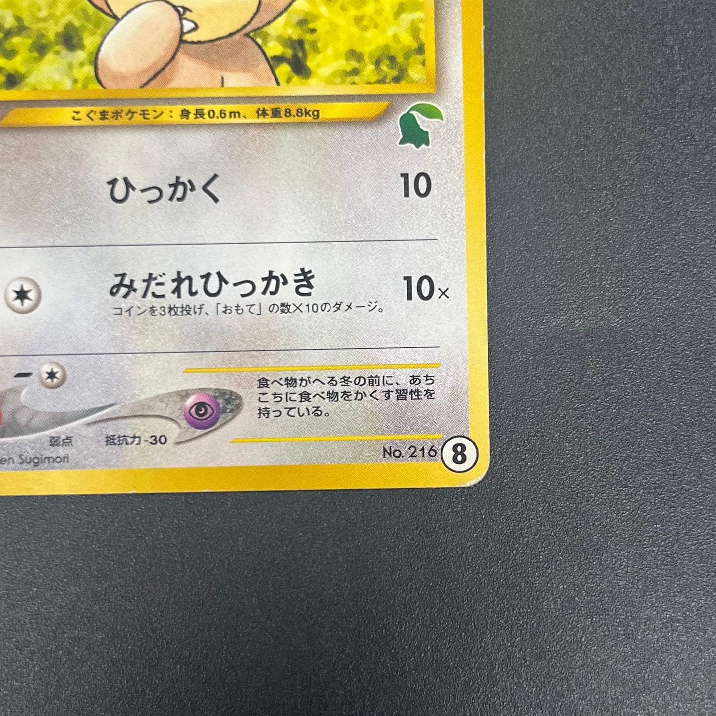 Teddiursa No. 216 Intro Pack Chikorita Deck Pokémon Card
