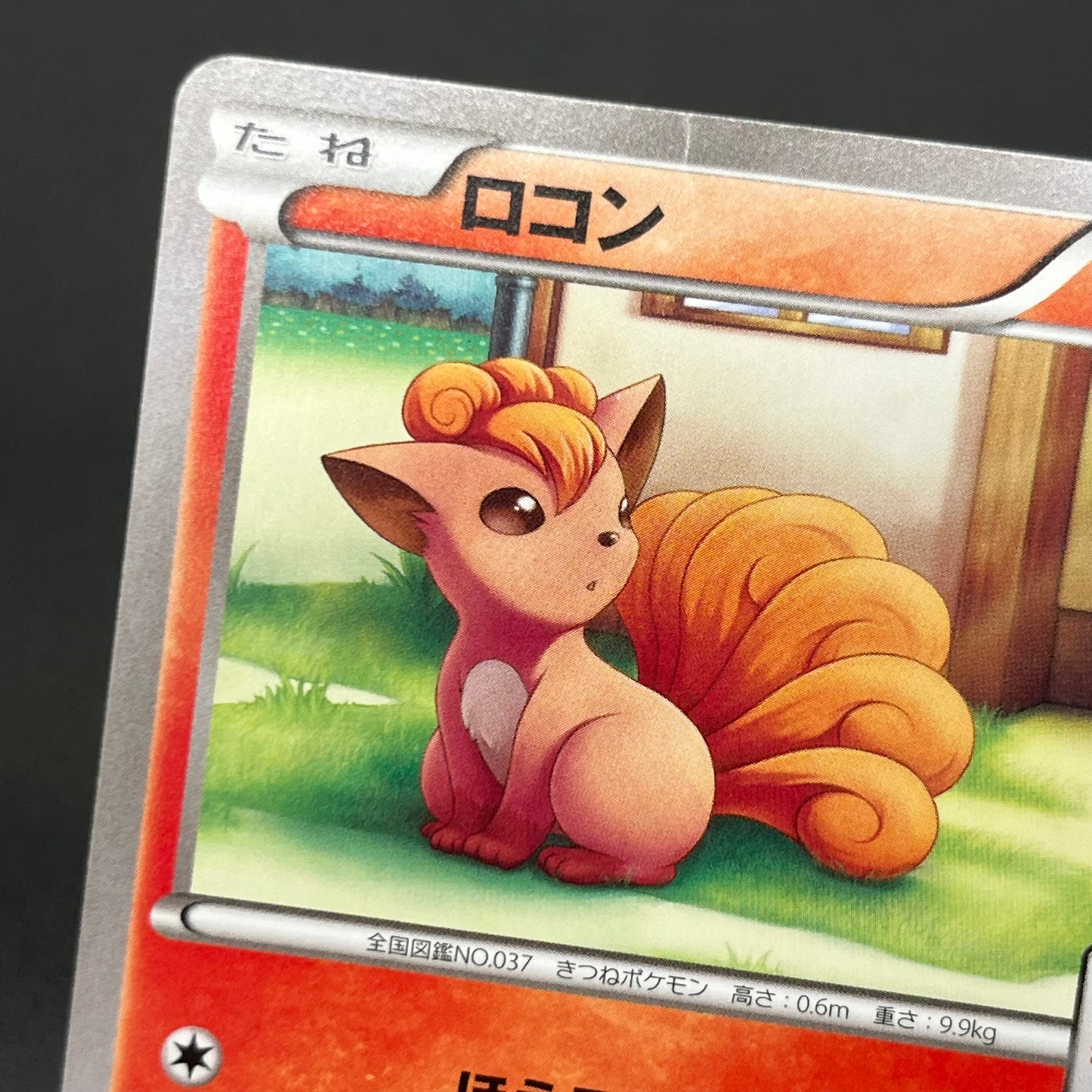 Vulpix 110/XY-P Promo Gym 4th MP Japanese Pokémon Card