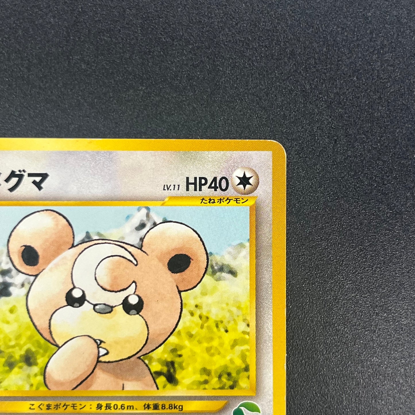 Teddiursa No. 216 Intro Pack Chikorita Deck Pokémon Card