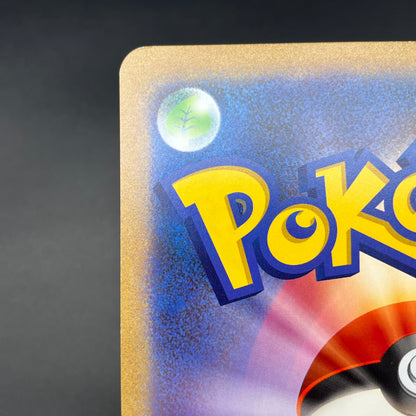 Pokerun TV's Pikachu and Friends Jumbo S-P Pokémon Card
