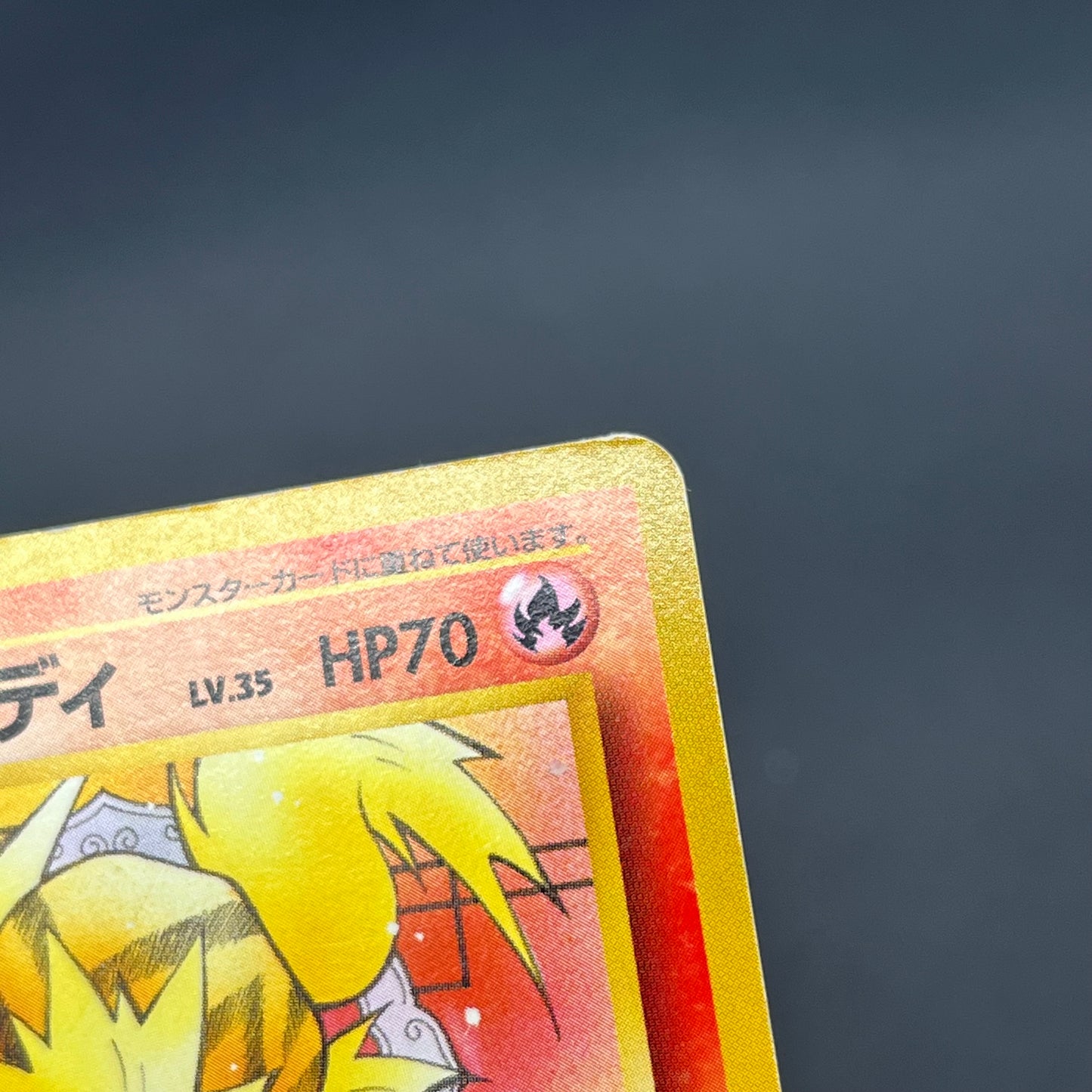 Arcanine No. 059 Intro Pack Squirtle Japanese Pokémon Card