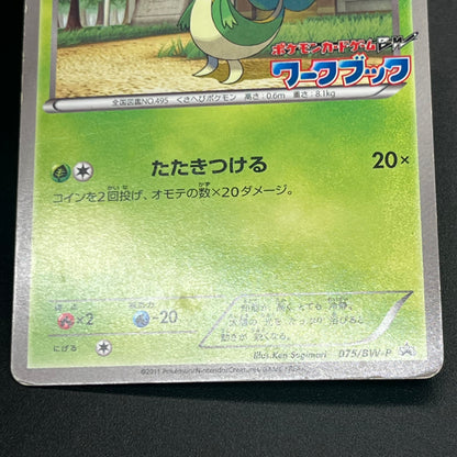 Oshawott Tepig Snivy BW-P Workbook Promo 3set Pokemon Card
