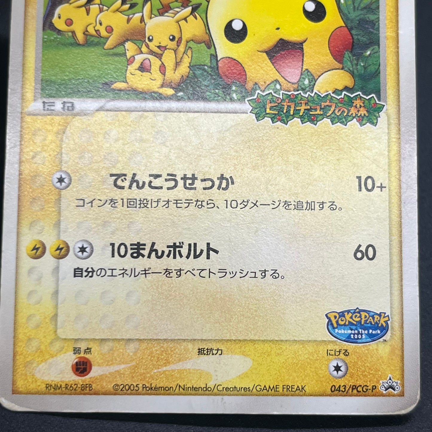 PokePark's Pikachu 043/PCG-P Promo Japanese Pokémon Card