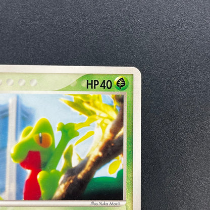 Treecko 037/PCG-P Yokohama Center Opening Pokemon Card