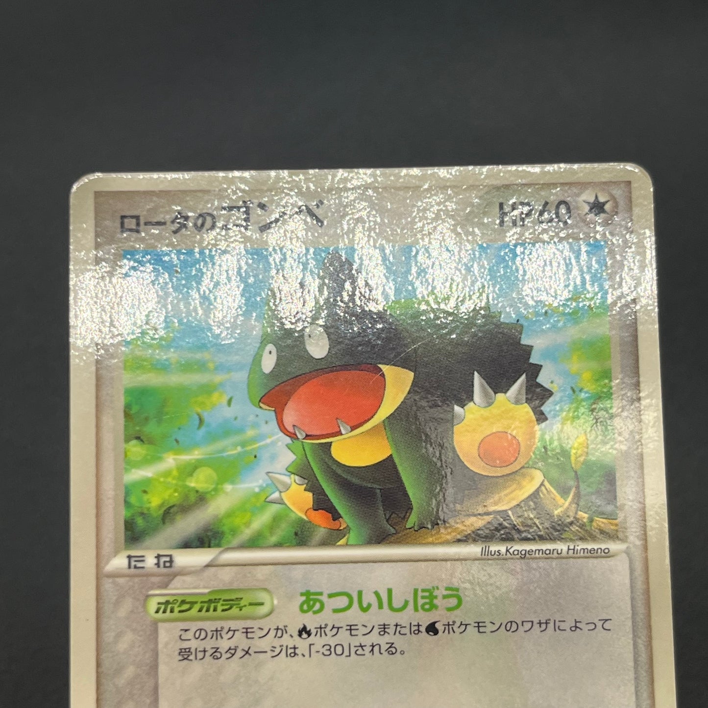 Munchlax 025/PCG-P Promo etc 5set Japanese Pokemon Card