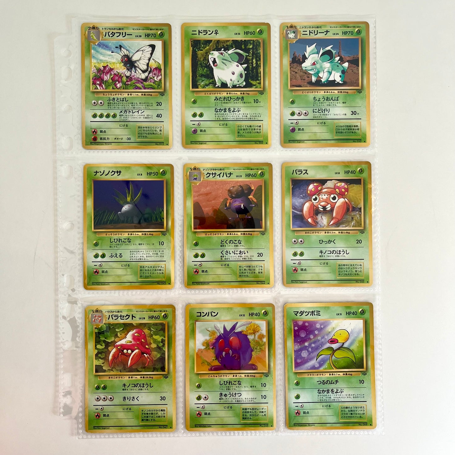Jungle Normal 31set Complete Japanese Pokémon Card