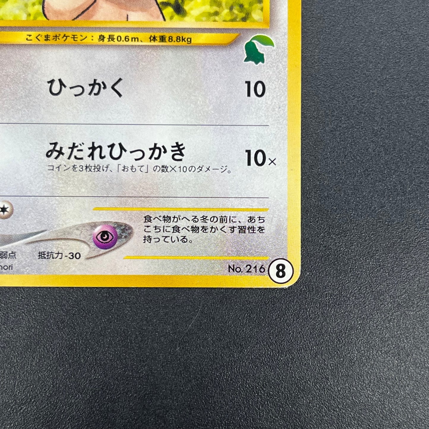 Teddiursa No. 216 Intro Pack Chikorita Deck Pokémon Card