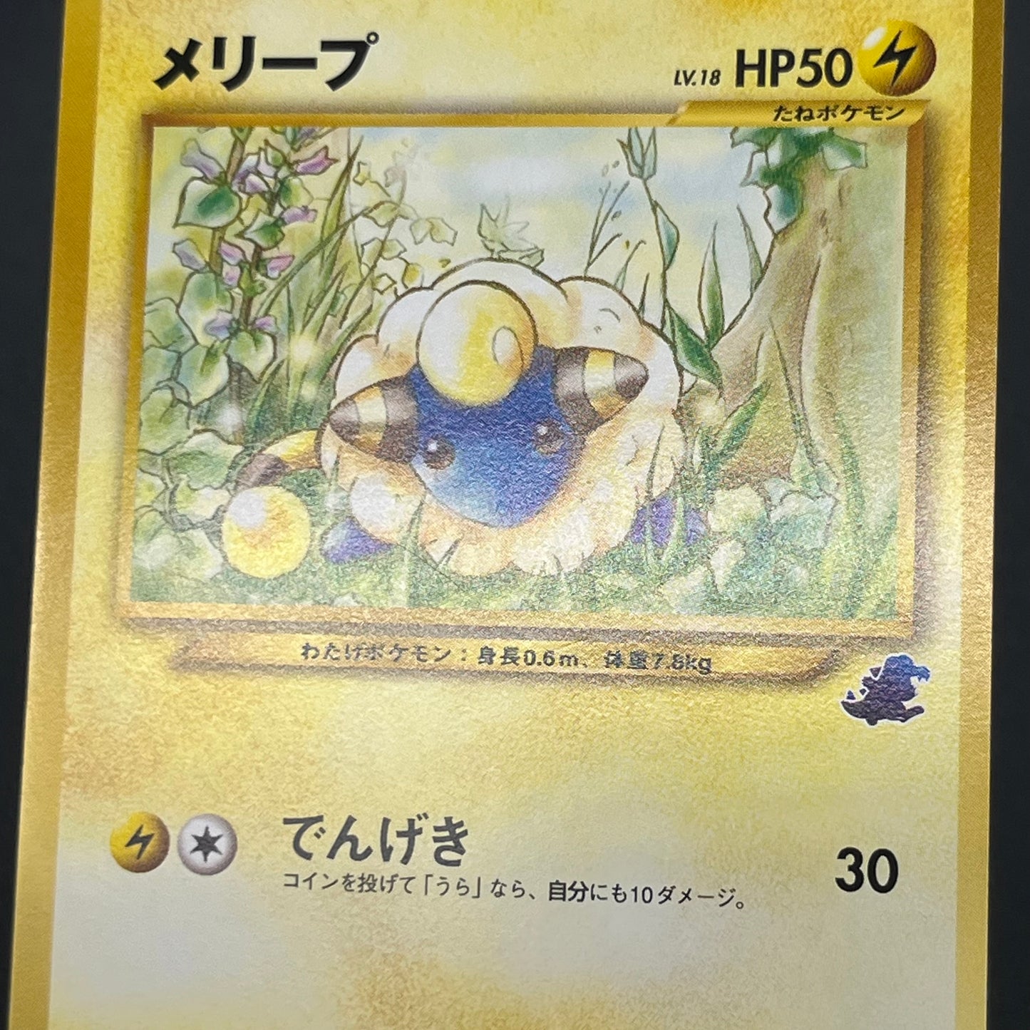 Flaaffy Mareep Intro Pack Totodile Deck 2set Pokémon Card