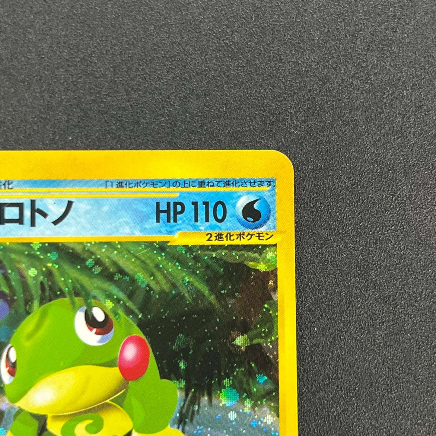 Politoed 031/088 e Series Skyridge Holo 1ED Pokémon Card