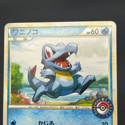 Totodile 036/L-P Promo Pokemon Center Stamp Japanese Card