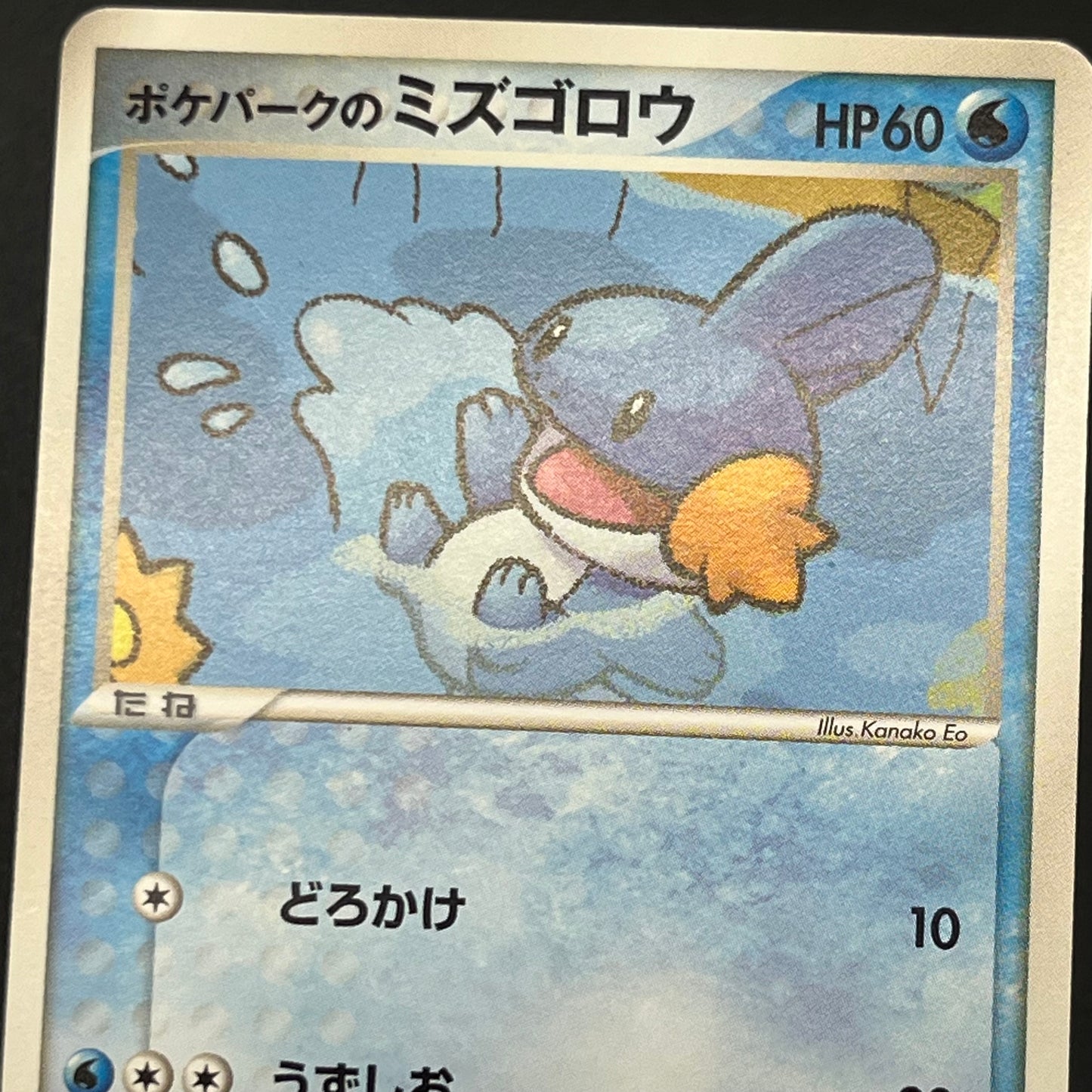 Pokepark's Mudkip 003/009 Pokepark Forest Pokémon Card