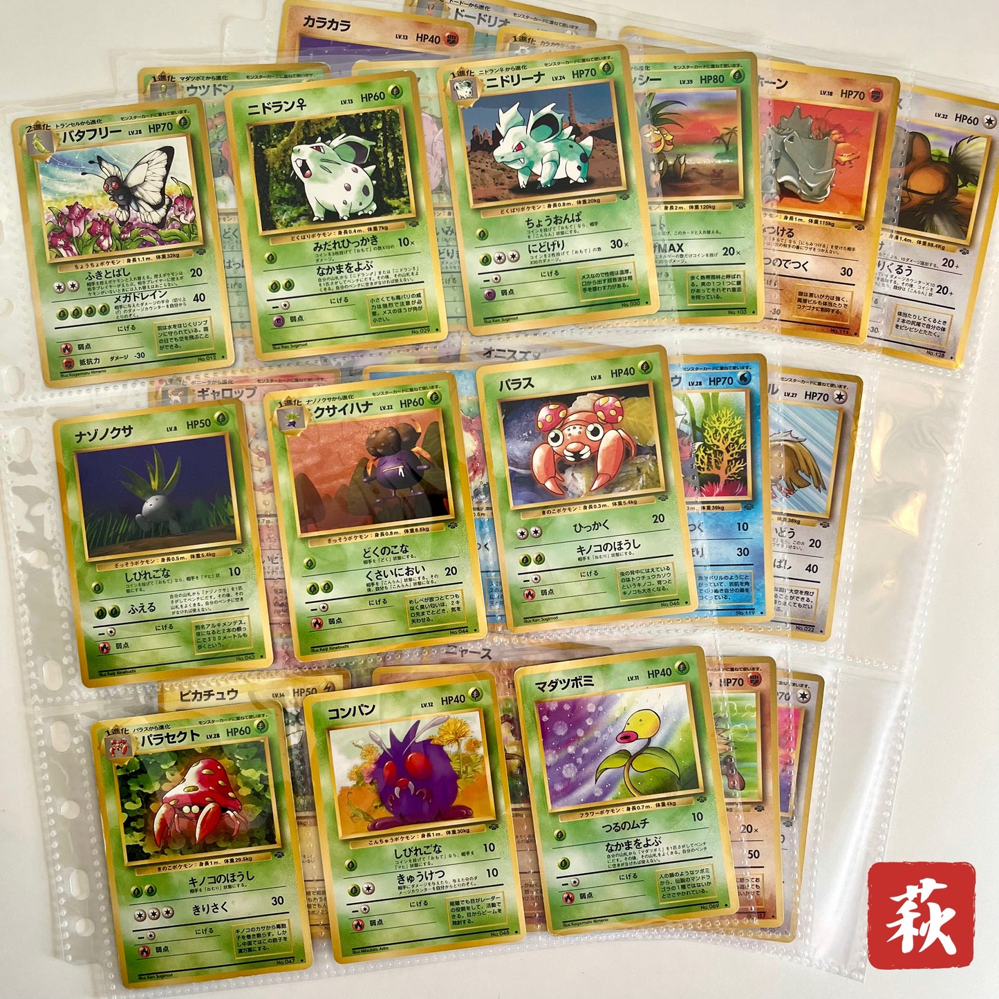 Jungle Normal 31set Complete Japanese Pokémon Card