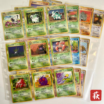 Jungle Normal 31set Complete Japanese Pokémon Card
