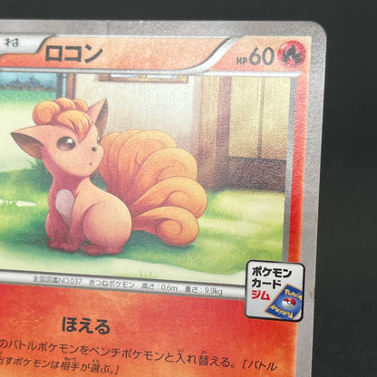 Vulpix 110/XY-P Promo Gym 4th MP Japanese Pokémon Card