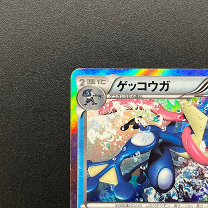 Greninja 073/XY-P Promo Game Summer Vacation Pokemon Card