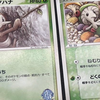 Forina's Jirachi Flygon Altaria Absol 8Set Pokemon Card