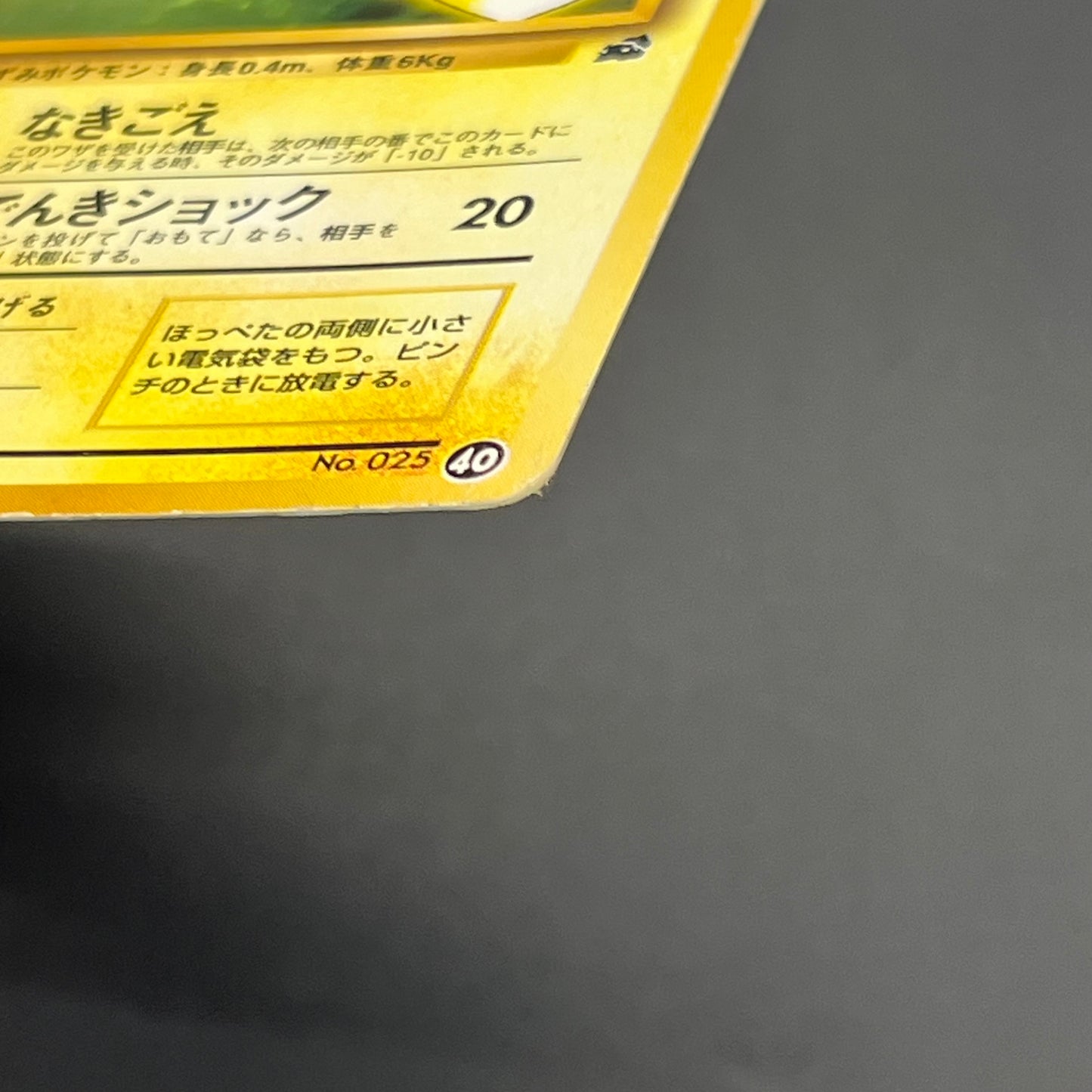 Pikachu No. 025 Intro Pack Bulbasaur Deck Pokémon Card
