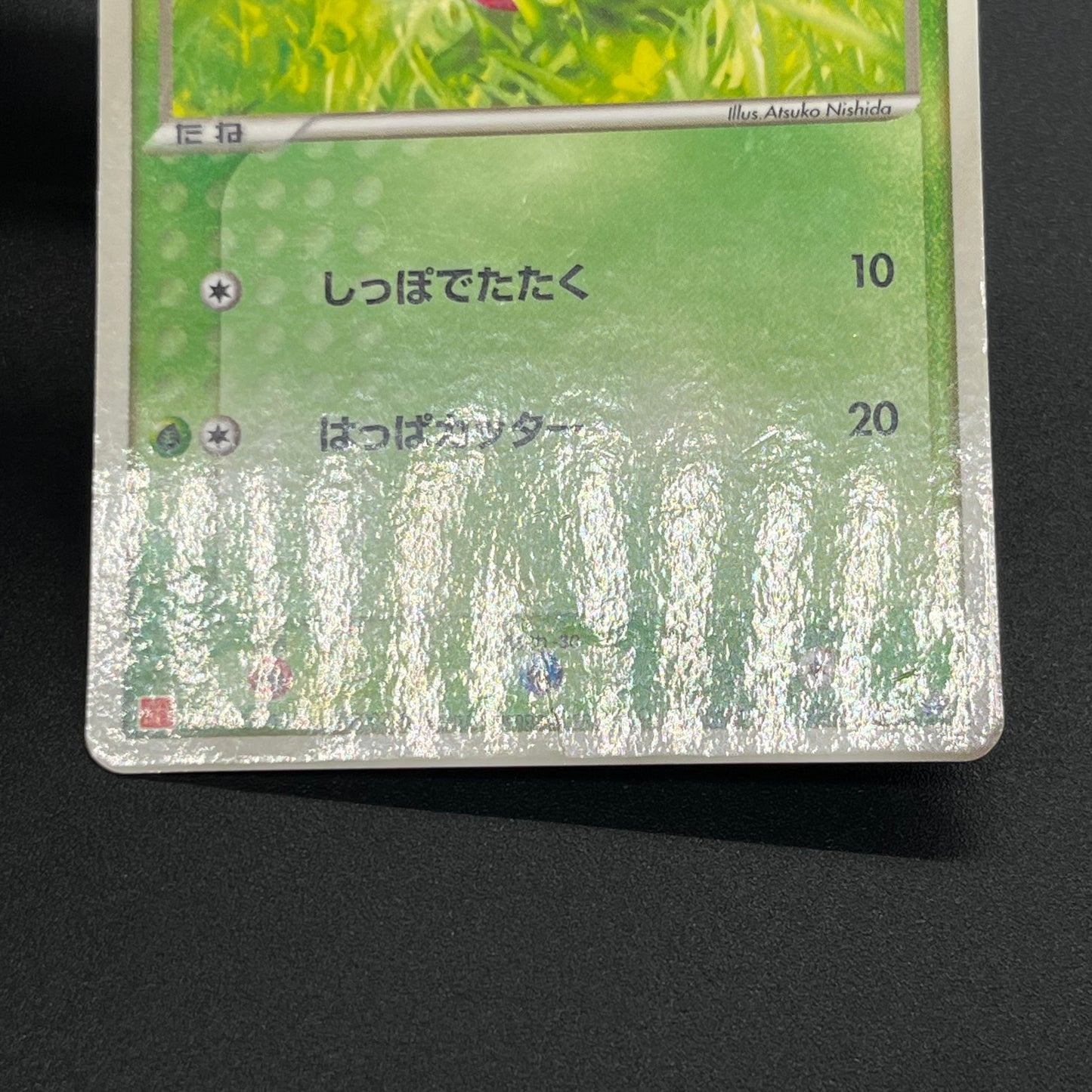 Treecko Torchic Mudkip 005/ADV-P McDonald's Pokémon Card