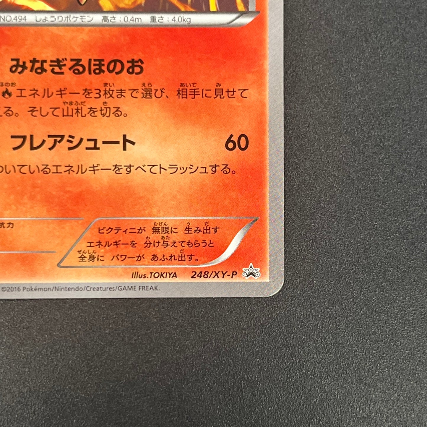 Victini 248/XY-P XY CoroCoro Ichiban! Promo Pokemon Card