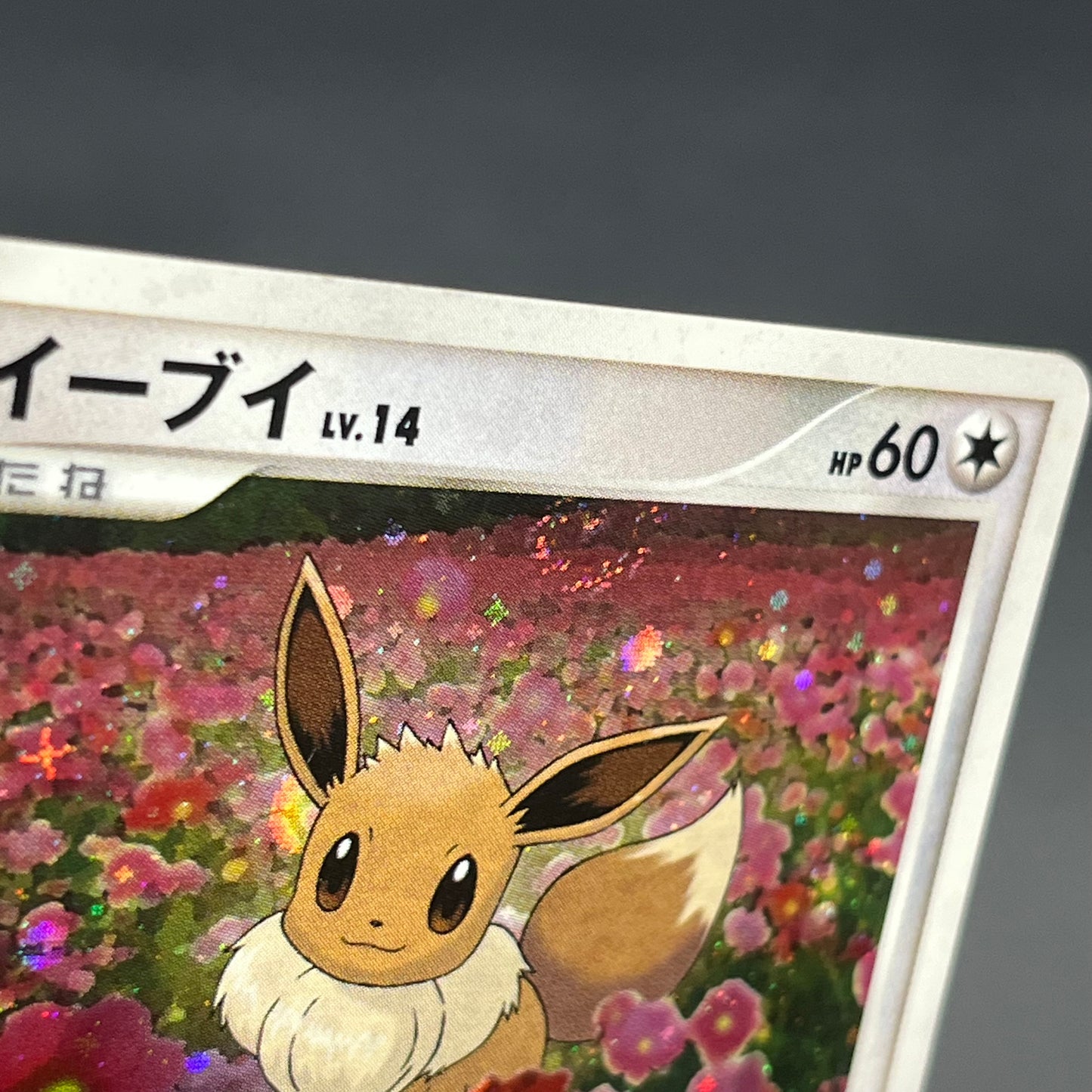 Eevee 063/DP-P Promo Trade Please event Pokemon Card