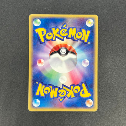 Forina's Absol 040/ADV-P Promo Gym Official Lottery Card