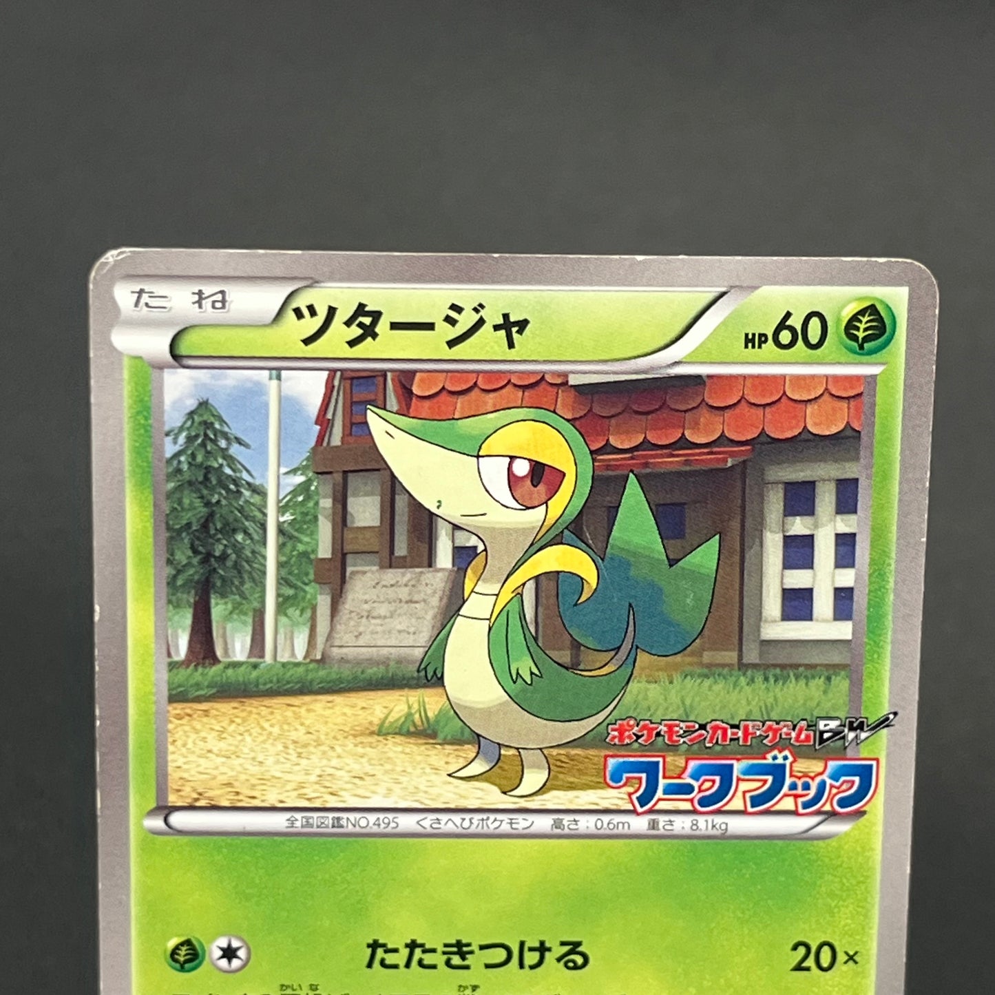 Oshawott Tepig Snivy BW-P Workbook Promo 3set Pokemon Card