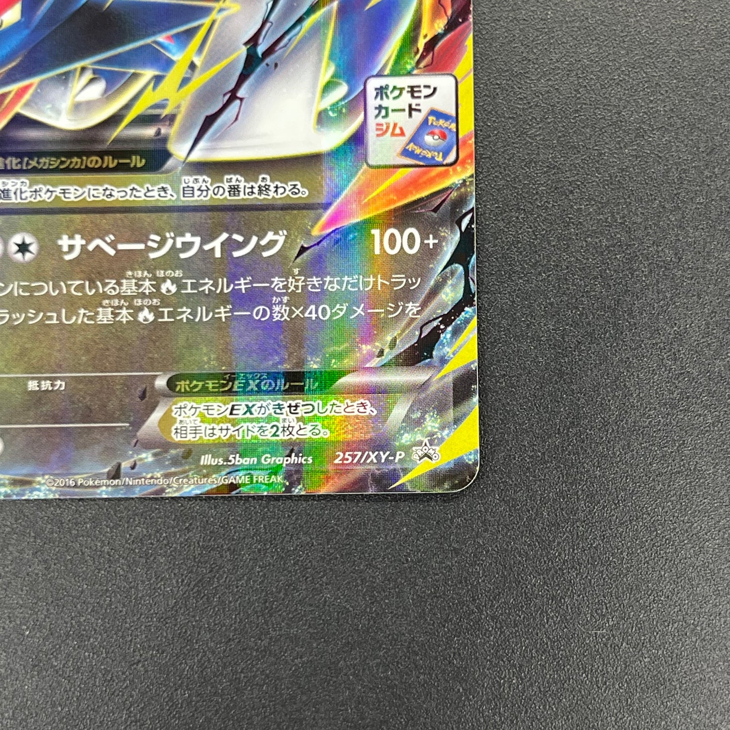 M Salamence EX 257/XY-P CoroCoro Ichiban! Promo Card