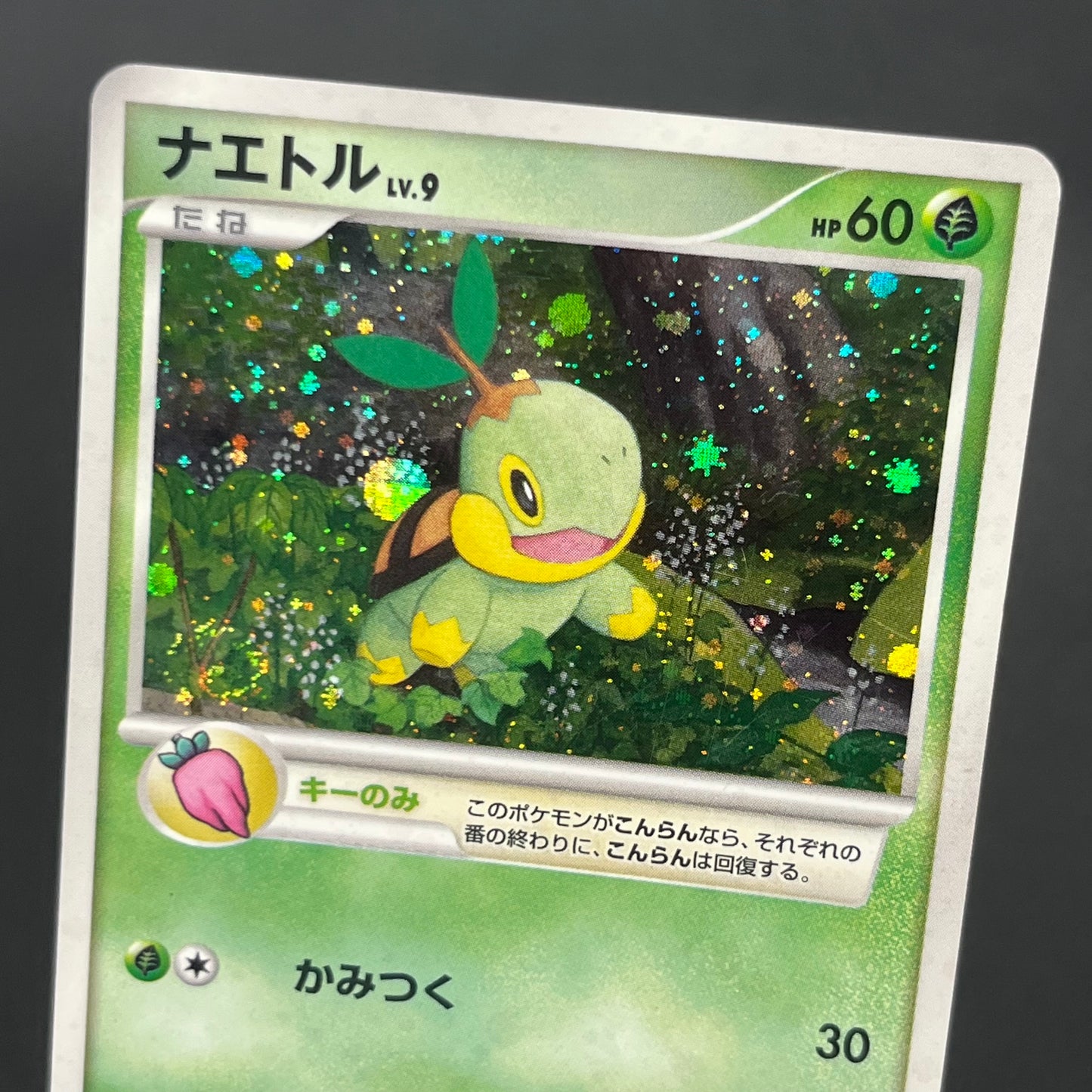 Piplup 003/PPP Chimchar Turtwig Promo 3set Pokemon Card