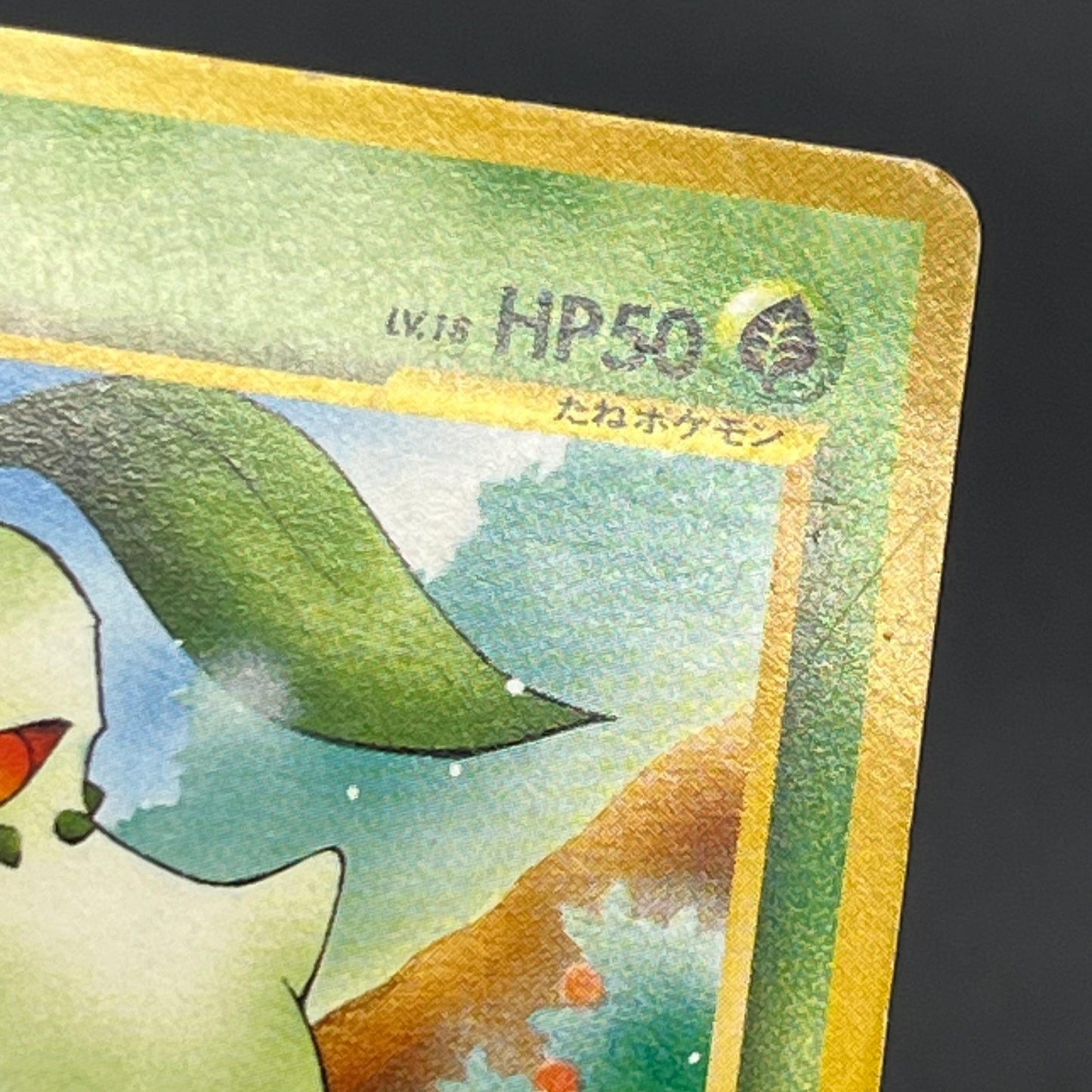 Chikorita No. 152 Intro Pack Promo Half Deck Pokémon Card