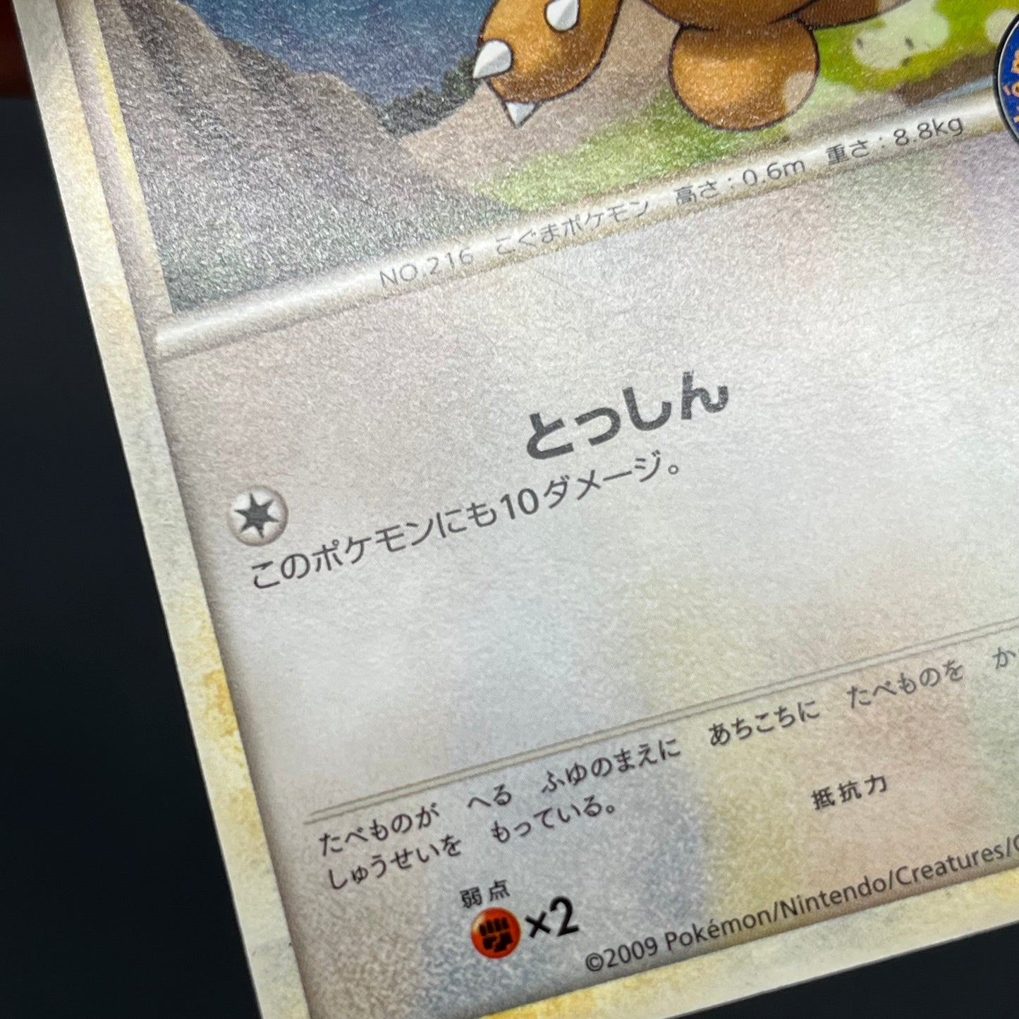 Teddiursa 039/L-P Pokemon Center Promo Pokemon Card