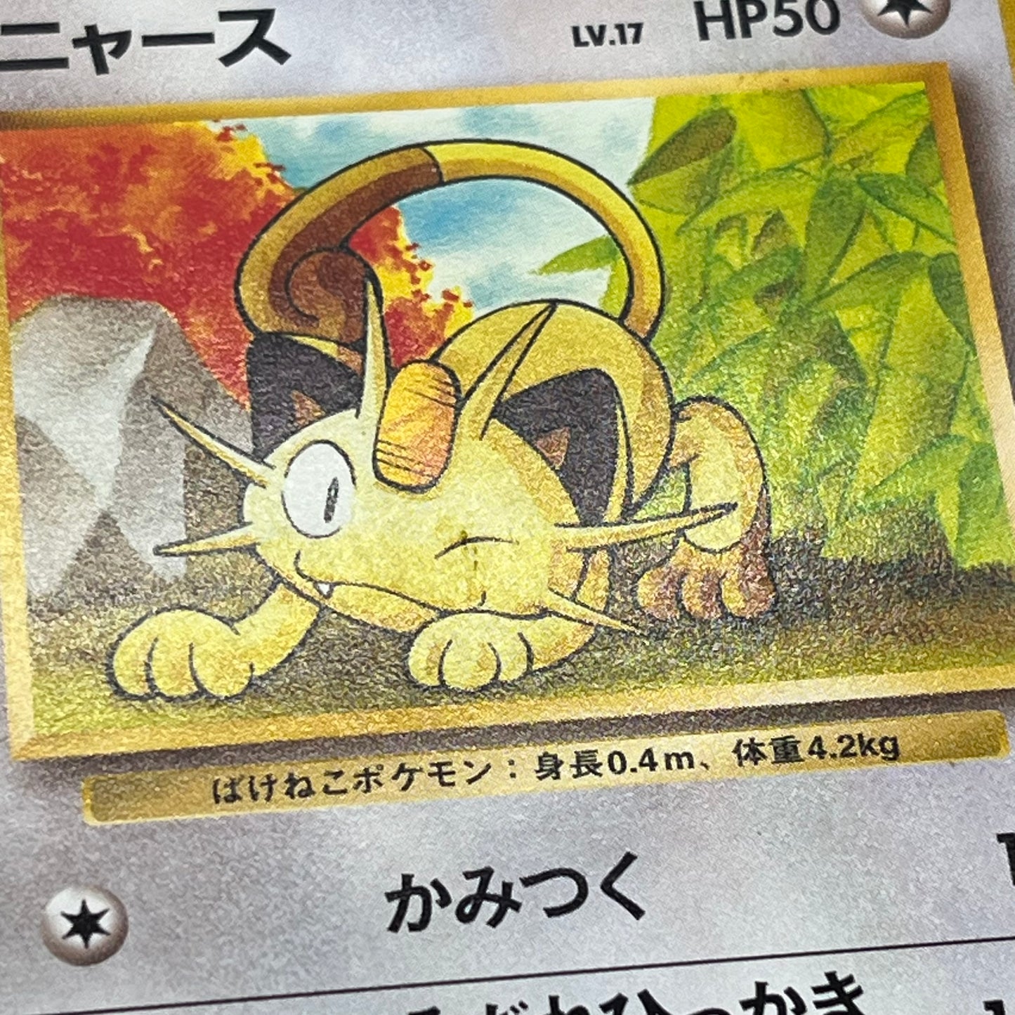 Bulbasaur Meowth etc Intro Pack Bulbasaur Deck 6set Card