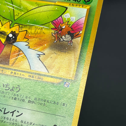 Sunkern 191 Natta Wake Vol.4 LP Promo Vintage Pokémon Card