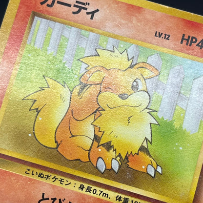 Growlith No. 058 Intro Pack Squirtle Japanese Pokémon Card