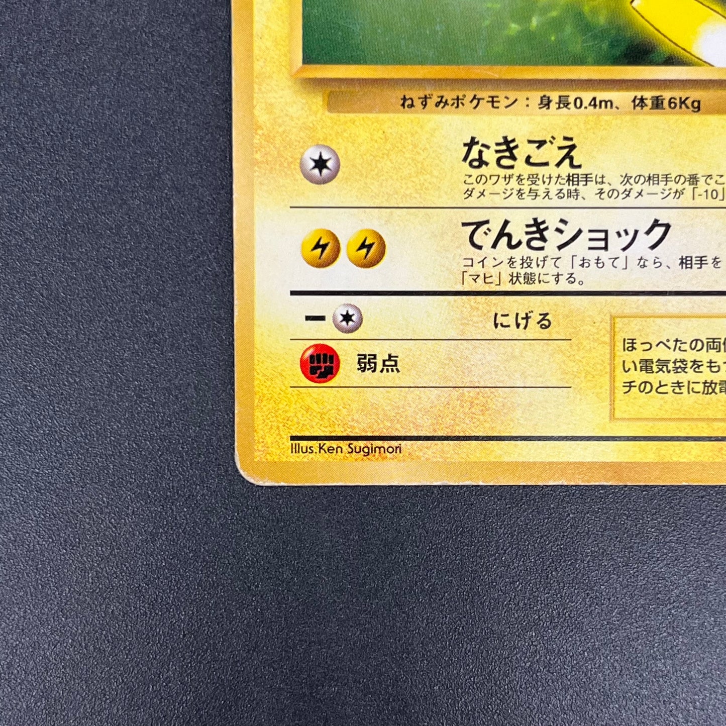 Pikachu No. 025 Intro Pack Bulbasaur Deck Pokémon Card